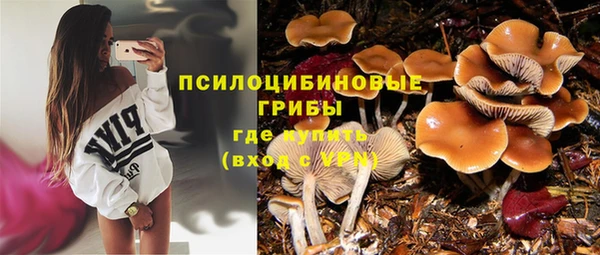 марки lsd Касимов